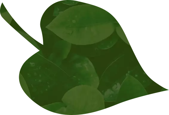 Tips en inspiratie nodig?