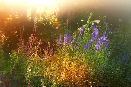 Indian Summer vibes: warme herfstkleuren voor je interieur én tuin
