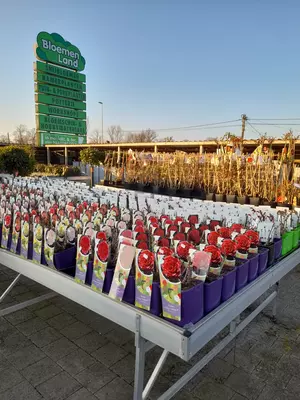 Tuincentrum Bloemenland