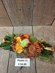 Model 25