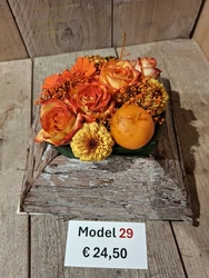 Model 29