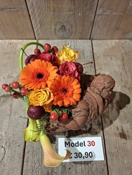 Model 30