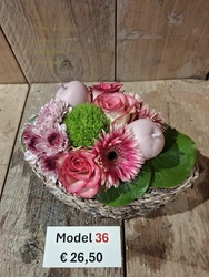 Model 36