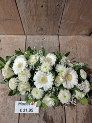 Model 49
