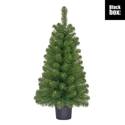 Norton kerstboom potted groen